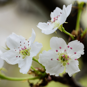 和亲妺洗澡忍不住c了她无码男男

